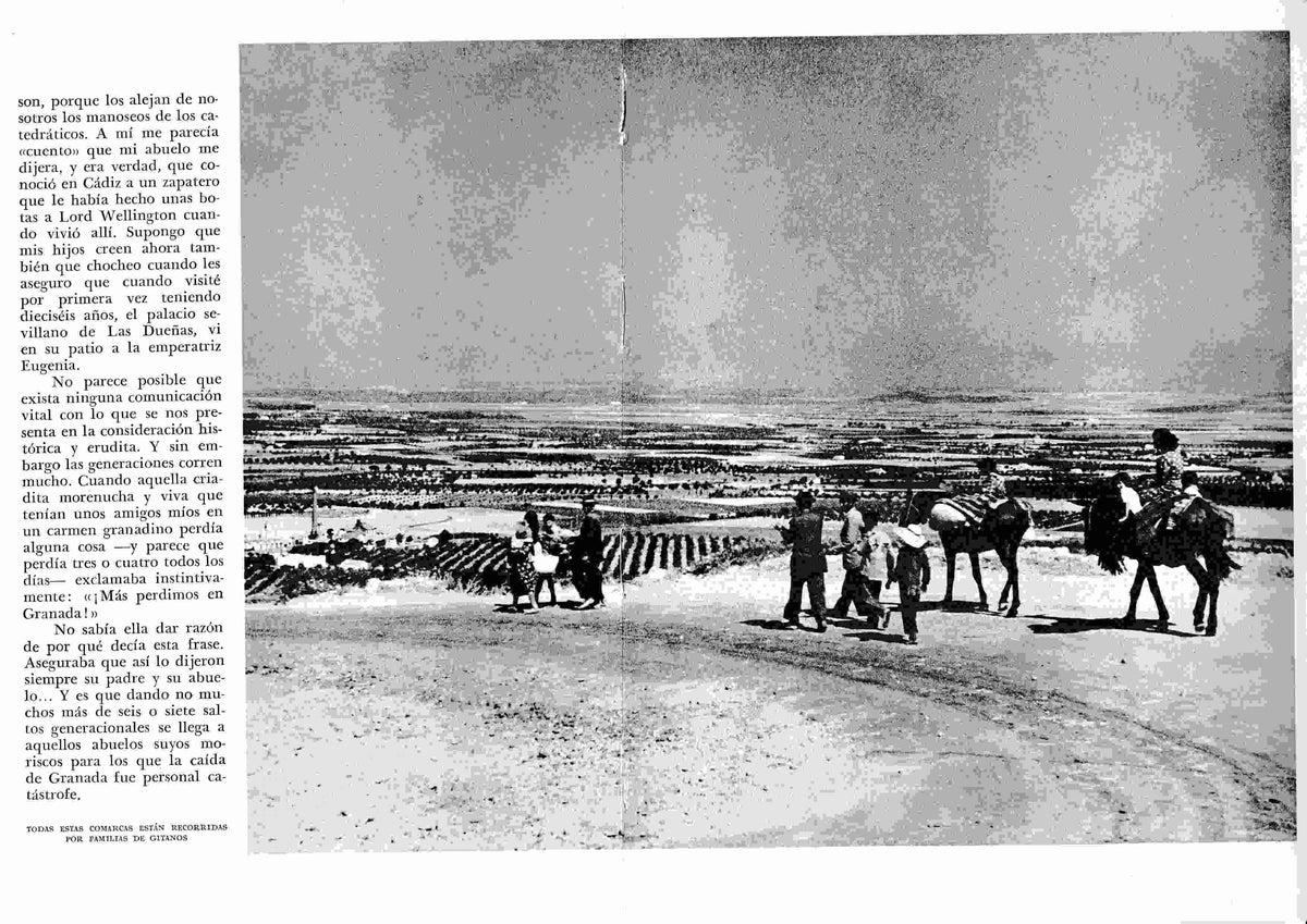 LAMINA 6480: Familias de gitanos recorriendo las comarcas