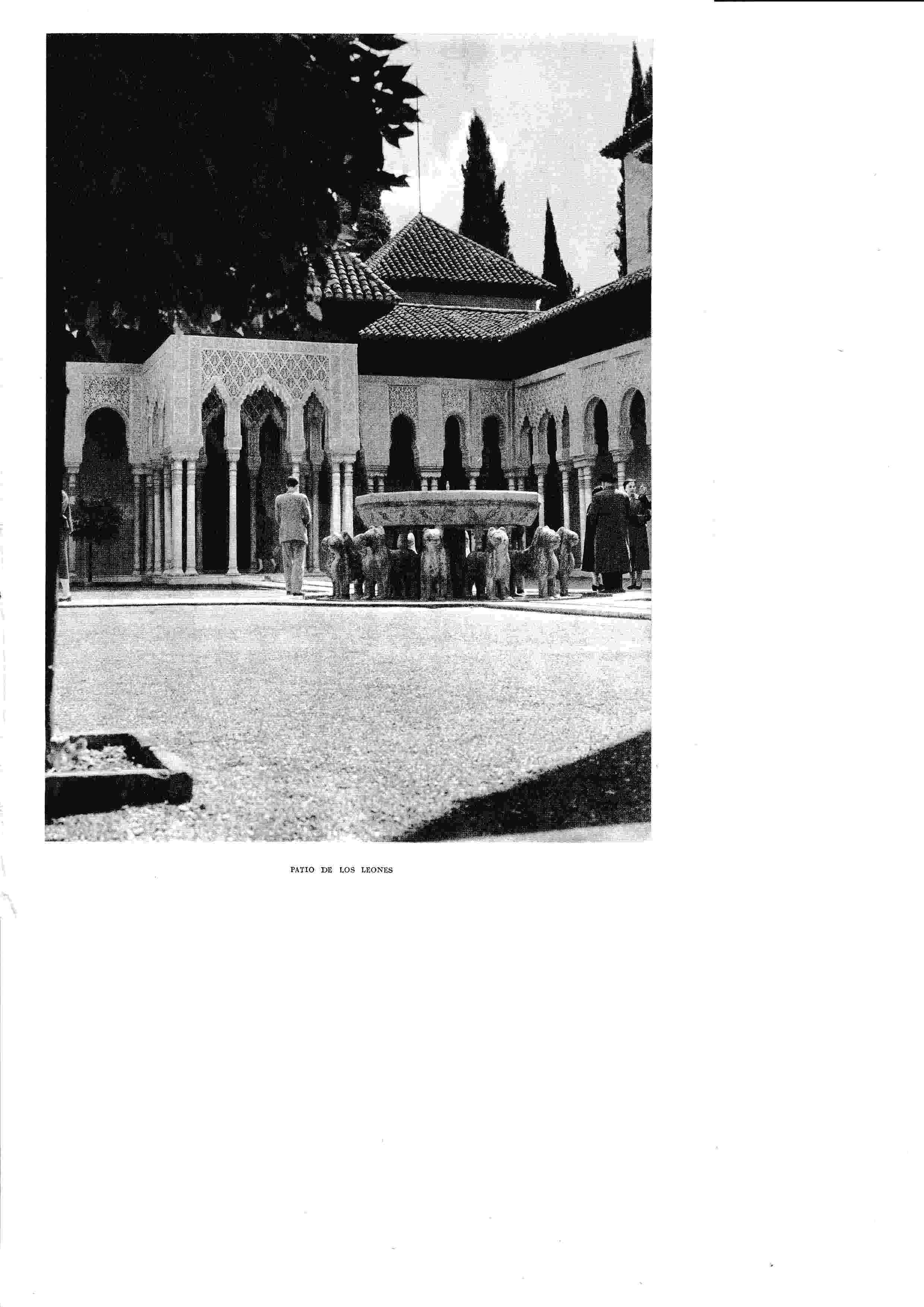 LAMINA 6488: Patio de los Leones