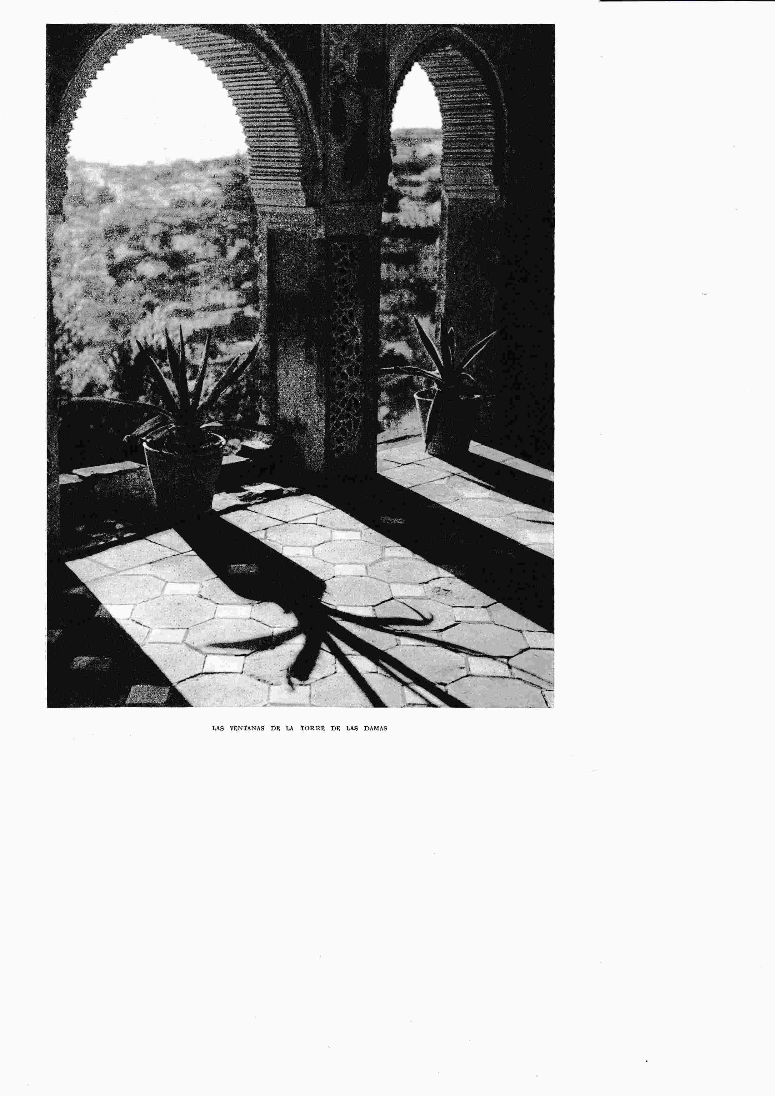 LAMINA 6489: Las ventanas de la torre de las damas