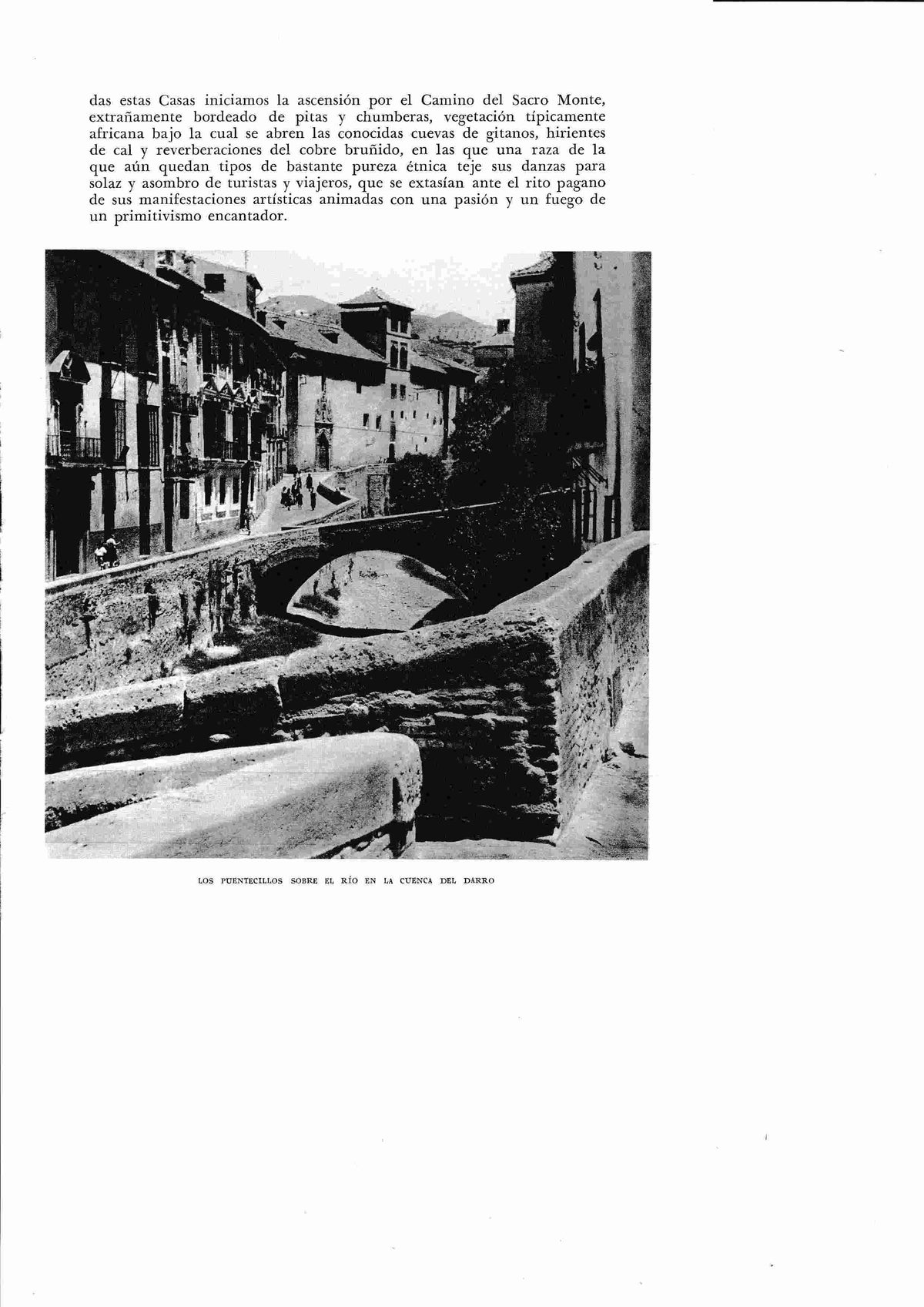 LAMINA 6496: Los puentecillos sobre el rio en la cuenca del Darro