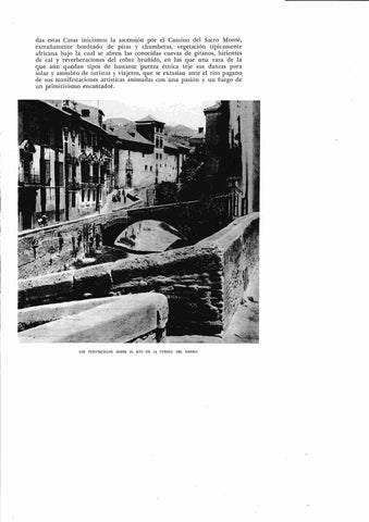 LAMINA 6496: Los puentecillos sobre el rio en la cuenca del Darro