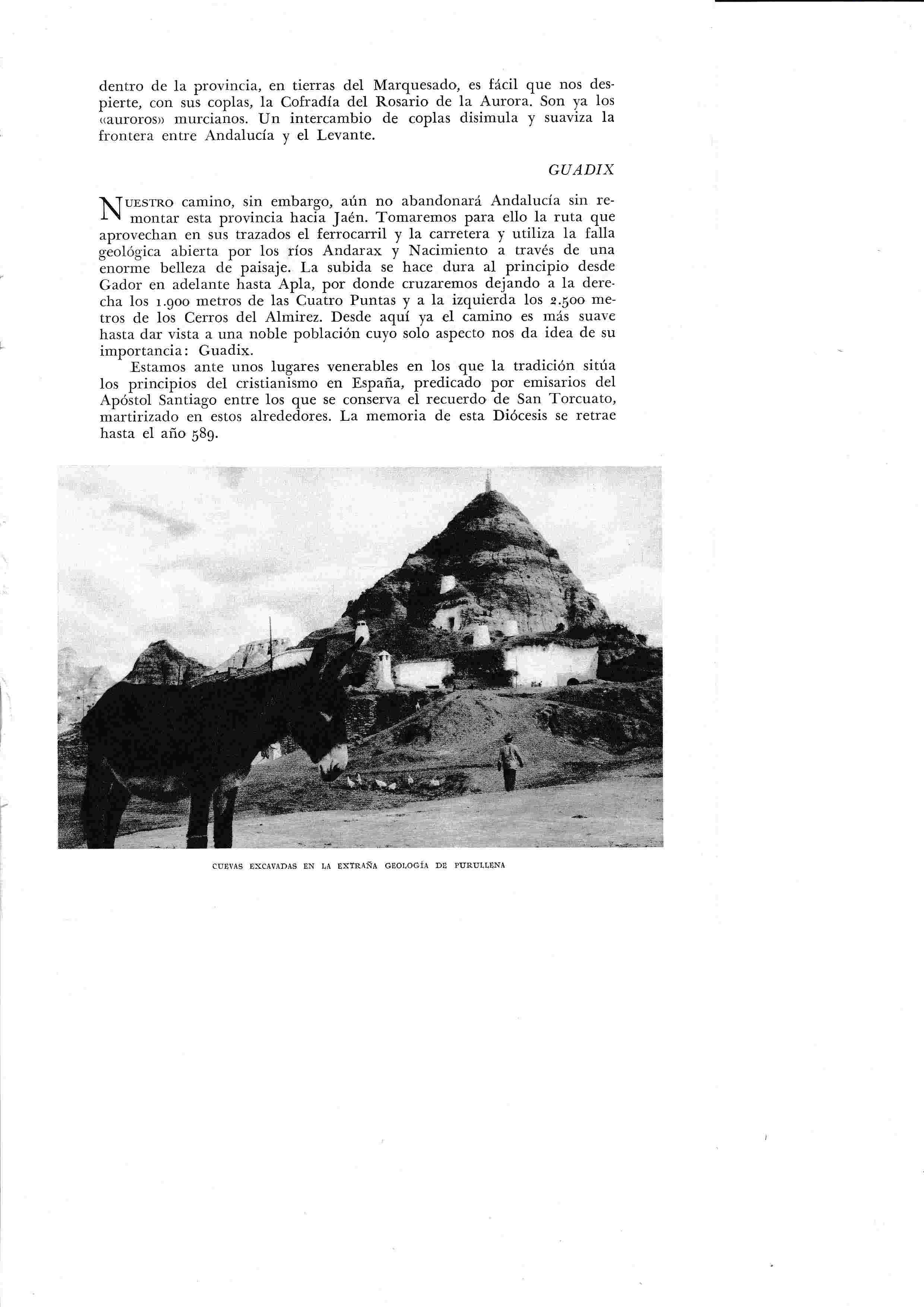 LAMINA 6525: Cuevas de Purullena
