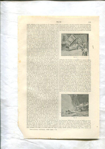 ESPASA 1928: Articulo de 27 paginas sobre Trucos: cinematografia, teatro, circo, ferias, etc