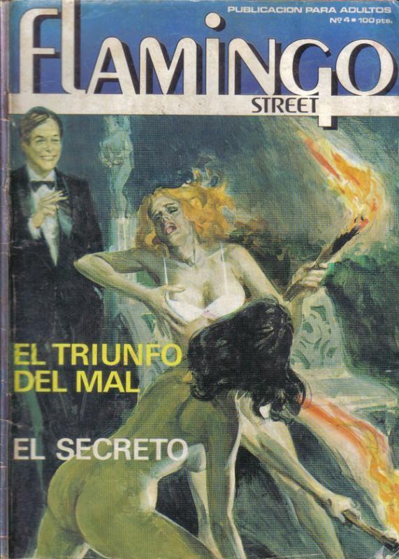 Flamingo Street numero 04: El triunfo del mal-El secreto