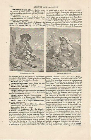 LAMINA ESPASA 13188: Aldeanos de los Abruzos Italia