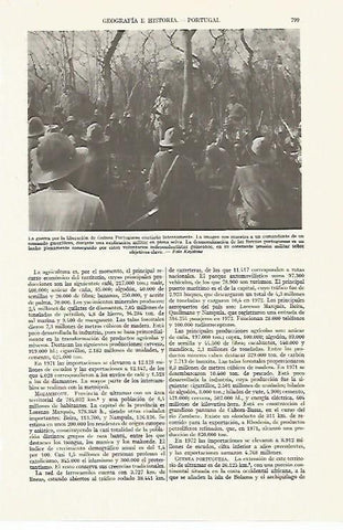 LAMINA ESPASA 13438: Guerra en Guinea Portuguesa