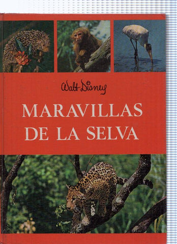 Maravillas de la selva