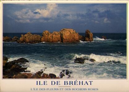 POSTAL 57461: Ile de Brehat L Île des fleurs et des rochers roses