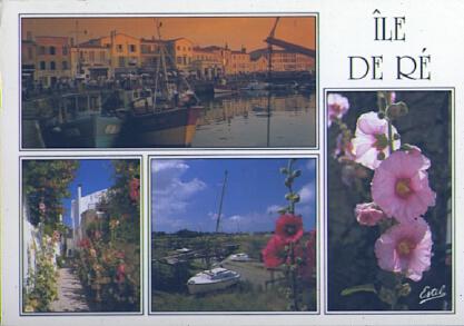 POSTAL 57543: Île de Re “L Ile fleurie”
