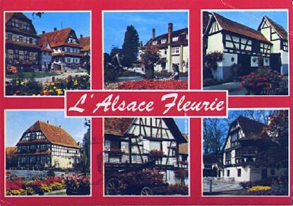 POSTAL 57551: L Alsace Fleurie