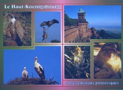 POSTAL 57583: Le Haut-Koeningsbourg et ses environs pittoresques