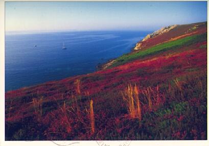 POSTAL 57597: Liberte