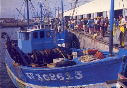 POSTAL 57602: Loctudy (Finistere) Retour des chalutiers en fin de journee