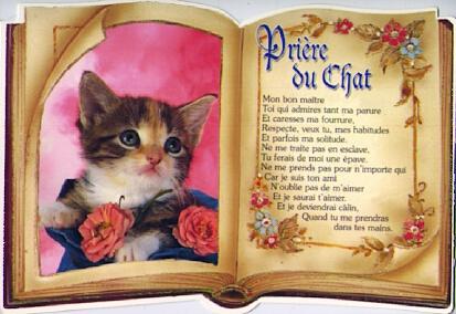 POSTAL 57609: Priere du Chat