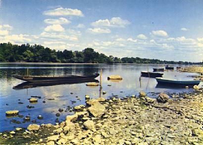 POSTAL 57613: Paysage des bords de la Loire