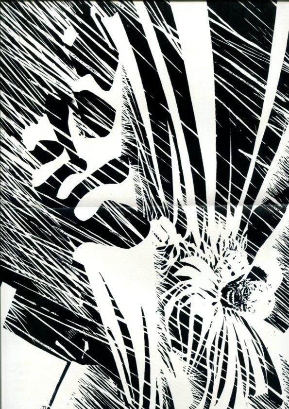 Image poster Book: Deathblow y Spawn