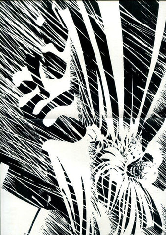 Image poster Book: Deathblow y Spawn