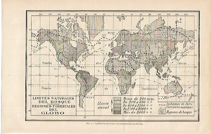 LAMINA ESPASA 635: Regiones forestales del mundo