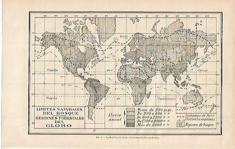 LAMINA ESPASA 635: Regiones forestales del mundo