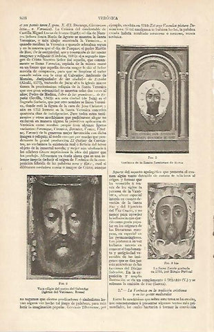 LAMINA ESPASA 6102: Representaciones de la Veronica
