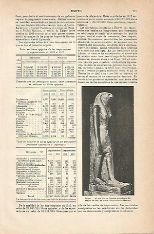 LAMINA ESPASA 6773: El dios Horus. Egipto
