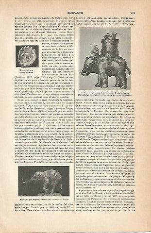 LAMINA ESPASA 6850: Elefante de plata. Alemania
