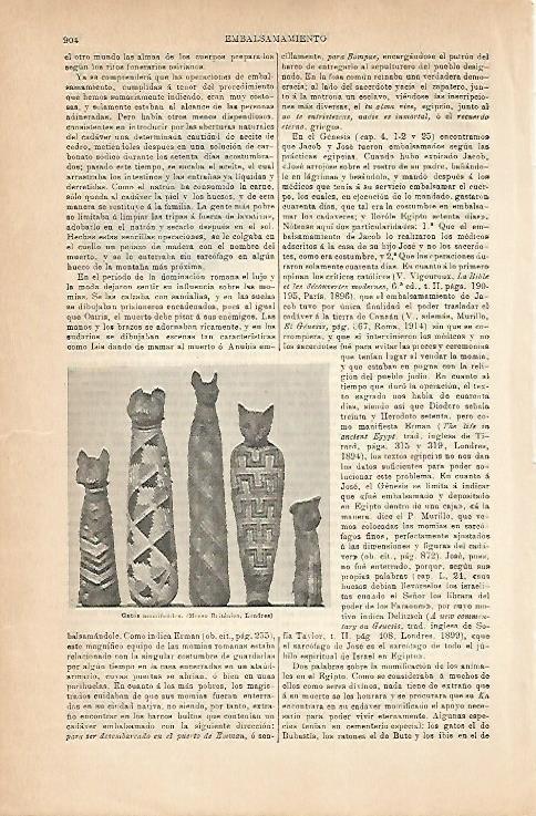 LAMINA ESPASA 6883: Gatos momificados. Egipto