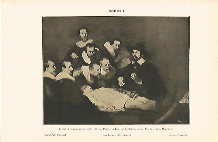 LAMINA ESPASA 6946: La leccion de anatomia de Rembrandt