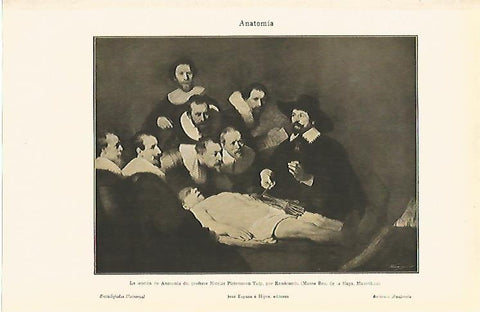 LAMINA ESPASA 6946: La leccion de anatomia de Rembrandt
