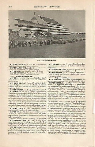 LAMINA ESPASA 675: Vista del Hipodromo de Epsom Inglaterra