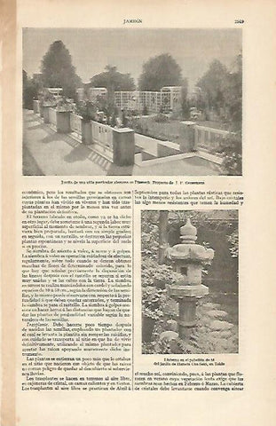 LAMINA ESPASA 6172: Jardin de una villa alemana