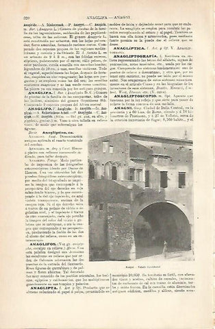 LAMINA ESPASA 6936: Palacio Consistorial de Anagni Italia
