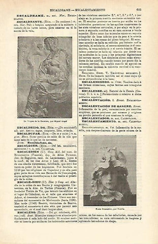 LAMINA ESPASA 16549: La Virgen de la Escalera por Miguel Angel