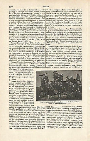 LAMINA ESPASA 17268: Cuadro de H. S. Power
