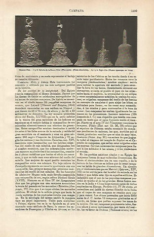LAMINA ESPASA 14789: Campanillas