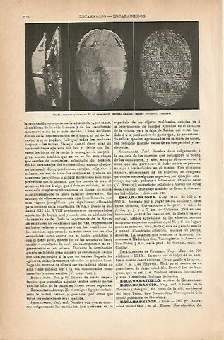 LAMINA ESPASA 18862: Escarabajo del Antiguo Egipto