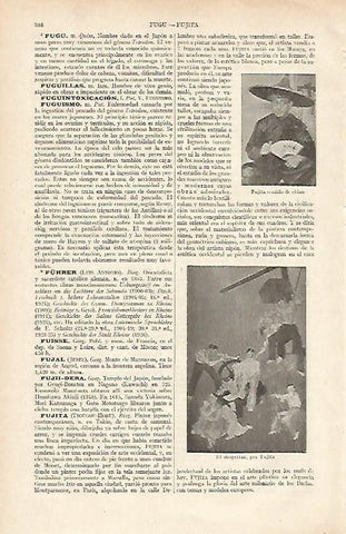LAMINA ESPASA 16125: Fujita vestido de chino