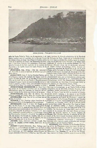 LAMINA ESPASA 21117: Vista de Juneau Alaska