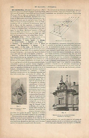 LAMINA ESPASA 11883: Buharda