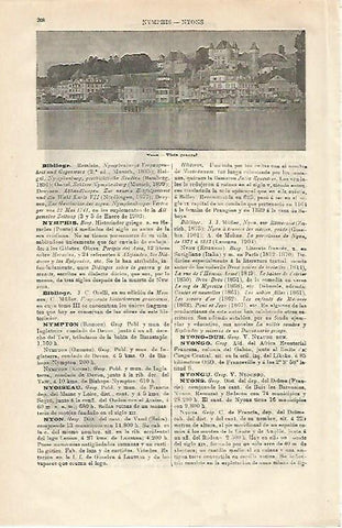 LAMINA ESPASA 21222: Vista de Nyon Suiza