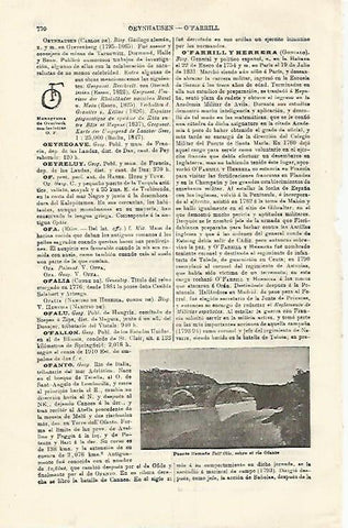 LAMINA ESPASA 21325: Puente sobre el rio Ofanto