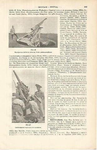 LAMINA ESPASA 8577: Cañon especial 