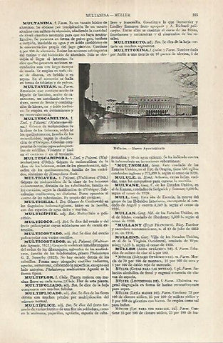 LAMINA ESPASA Alemania 17667:Ayuntamiento de Mulheim Alemania