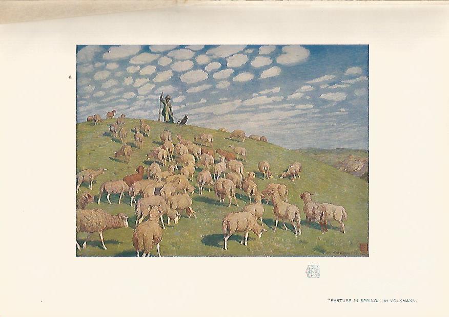 LAMINA 7075: Pasture in Spring por Volkmann