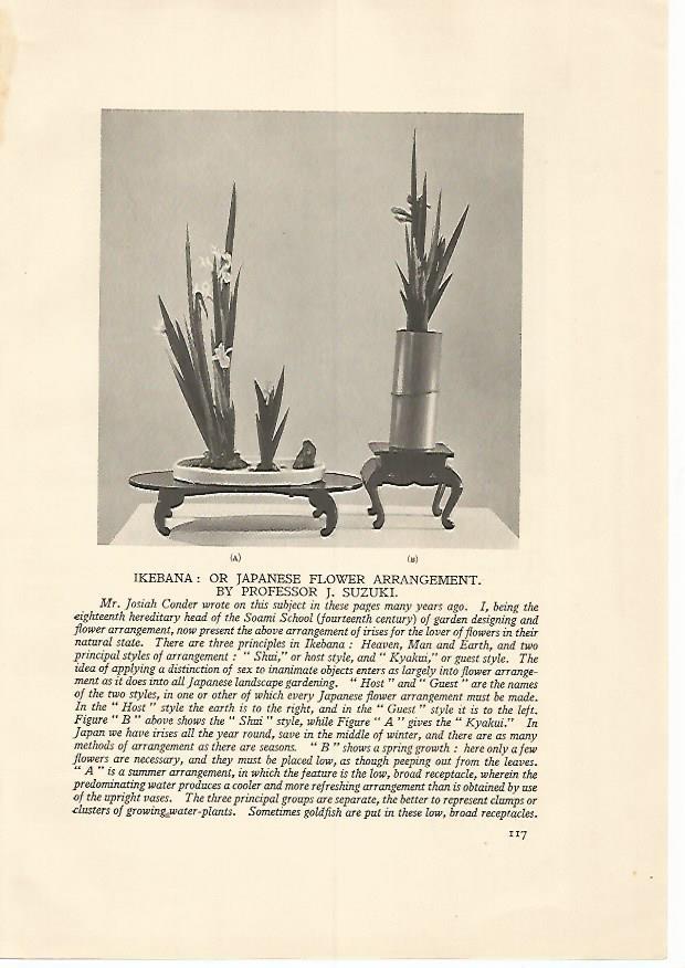 LAMINA 7186: Ikebana