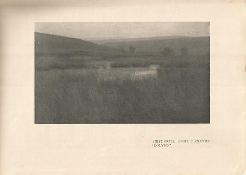 LAMINA 7252: Dolydd
