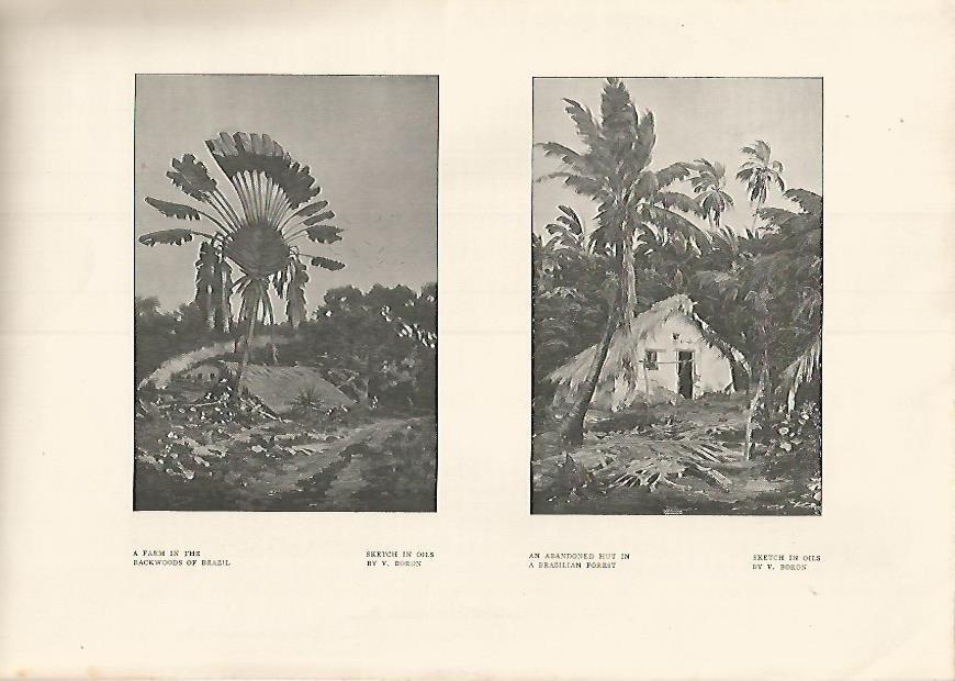 LAMINA 7347: A Farm in the Backwwods of Brazil por V. Boron