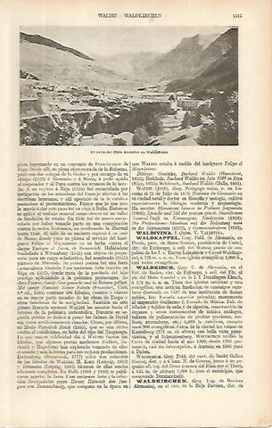 LAMINA ESPASA 4189: Valle del Rhin en Waldhauser