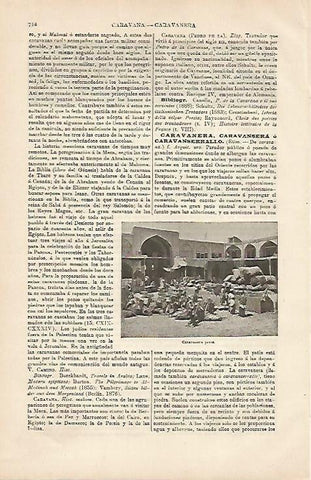 LAMINA ESPASA 4289: Caravana persa