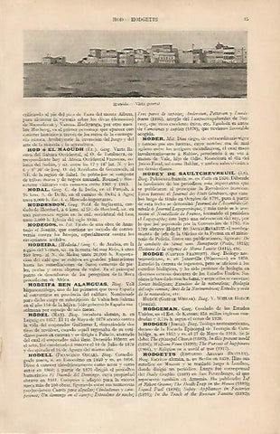 LAMINA ESPASA 4407: Vista general de Hodeida Arabia